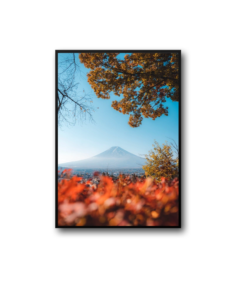 Peach Frame - Imagen 3